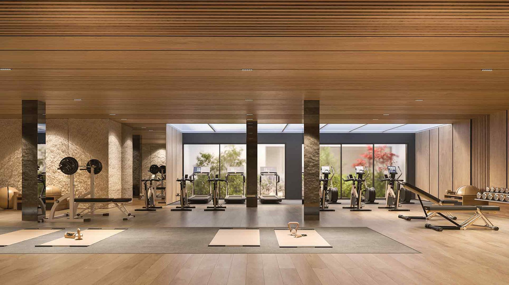 IB_GYM.webp
